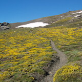 Přes zbytky sněhu výstup na hřeben (2 546 m)